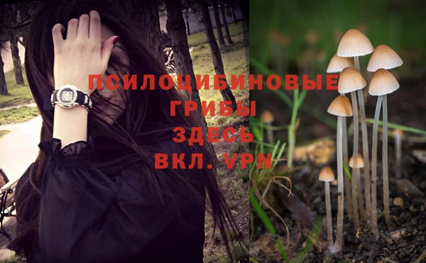 PSILOCYBIN Семилуки
