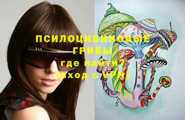 дурь Алексин