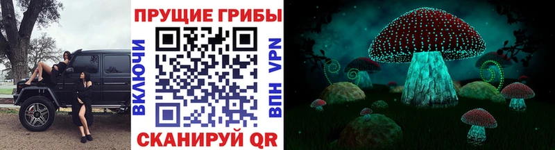 Псилоцибиновые грибы GOLDEN TEACHER  Адыгейск 
