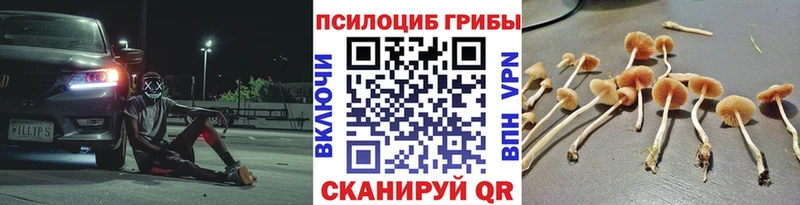 Галлюциногенные грибы ЛСД Адыгейск
